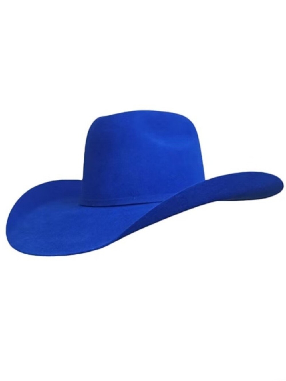 Bull Rider Cowboy Hat